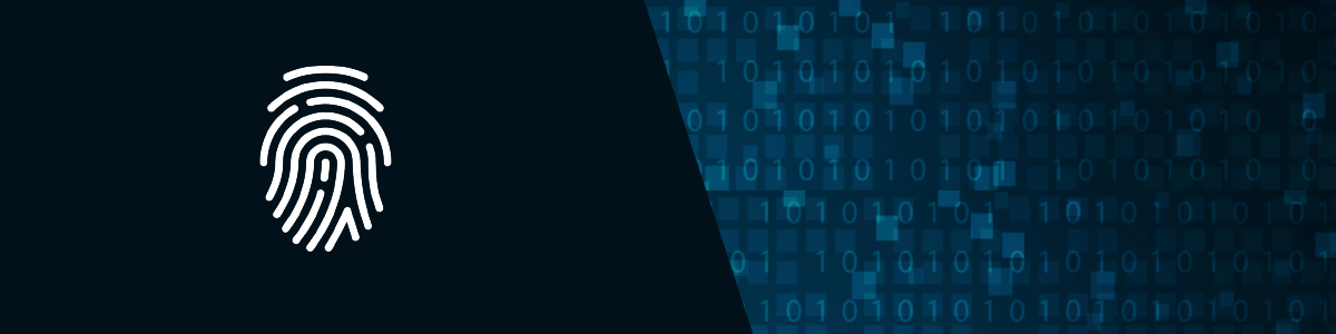 Ingegneria Informatica - Laurea Magistrale